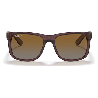 
  
    TRANSPARENT DARK BROWN | GRADIENT BROWN POLAR
  
