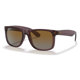 
  
    TRANSPARENT DARK BROWN | GRADIENT BROWN POLAR
  
