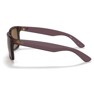 
  
    TRANSPARENT DARK BROWN | GRADIENT BROWN POLAR
  
