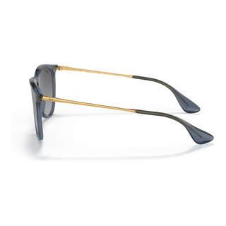 
  
    TRANSPARENT BLUE | GREY GRADIENT POLAR
  
