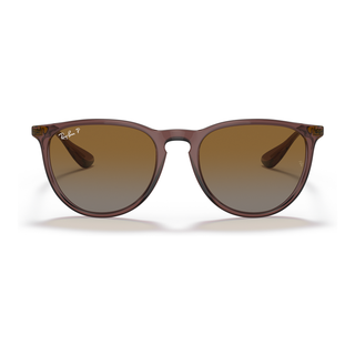 
  
    TRANSPARENT DARK BROWN | BROWN GRADIENT POLAR
  
