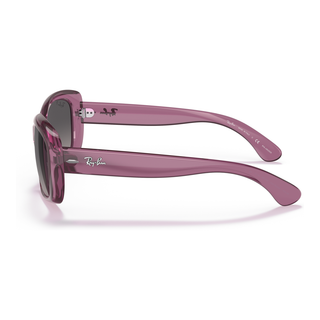 
  
    TRANSPARENT VIOLET | GREY GRADIENT POLAR
  
