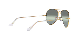 
  
    LEGEND GOLD | GRADIENT DARK GREEN MIRROR
  
