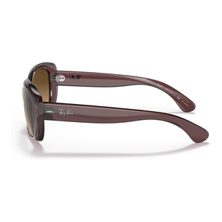 
  
    TRANSPARENT DARK BROWN | BROWN GRADIENT POLAR
  
