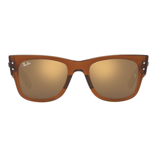 
  
    TRANSPARENT BROWN | LIGHT BROWN MIRROR GOLD
  
