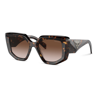 
  
    TORTOISE | BROWN GRADIENT
  
