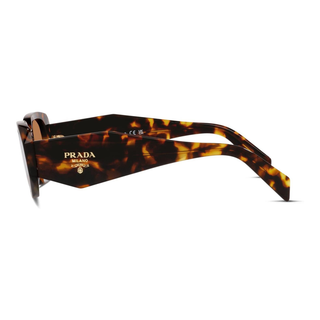 
  
    HONEY TORTOISE | DARK BROWN
  
