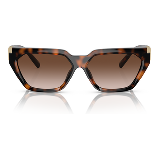 
  
    HAVANA | BROWN GRADIENT
  
