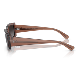 
  
    TRANSPARENT BROWN | GREY GRADIENT POLAR
  
