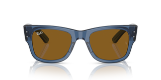 
  
    TRANSPARENT BLUE | BROWN
  
