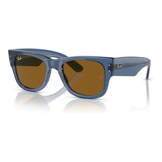 
  
    TRANSPARENT BLU | BROWN
  
