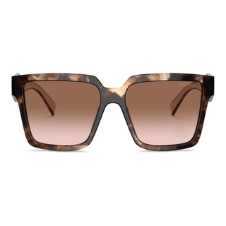 
  
    CARAMEL TORTOISE | BROWN GRADIENT
  
