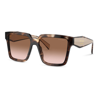 
  
    CARAMEL TORTOISE | BROWN GRADIENT
  
