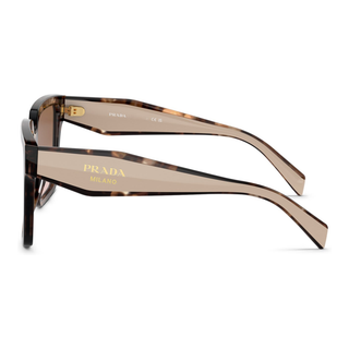 
  
    CARAMEL TORTOISE | BROWN GRADIENT
  
