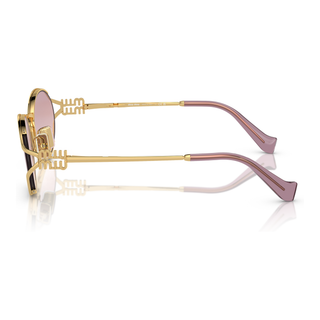 
  
    GOLD | BROWN GRADIENT VIOLET
  
