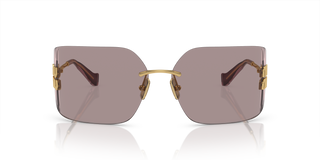 
  
    GOLD | LIGHT PURPLE BRONZE
  
