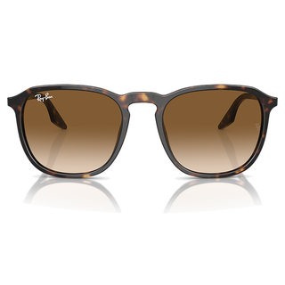 
  
    HAVANA | CLEAR GRADIENT BROWN
  
