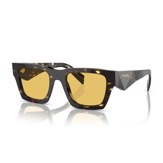 
  
    TORTOISE BLACK MALT | YELLOW
  

