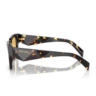 
  
    TORTOISE BLACK MALT | YELLOW
  
