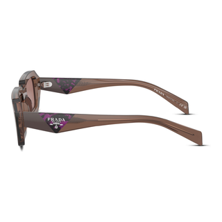 
  
    BROWN TRANSPARENT | LIGHT BROWN
  
