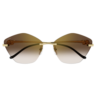 
  
    GOLD | BROWN
  
