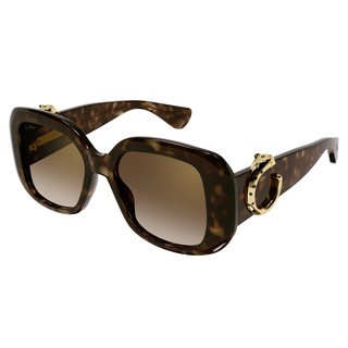 
  
    HAVANA | BROWN
  
