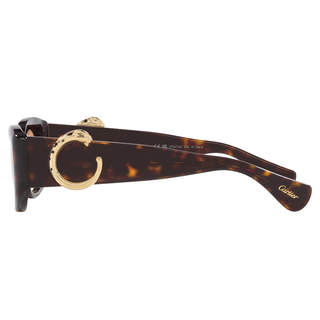 
  
    HAVANA | BROWN
  
