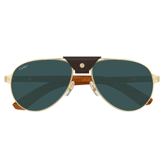 
  
    GOLD | GREEN
  
