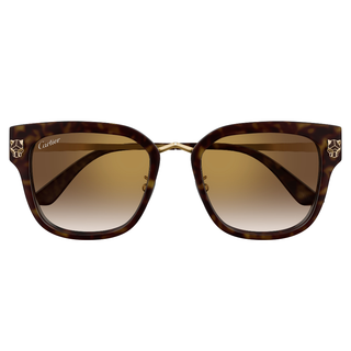 
  
    HAVANA | BROWN
  
