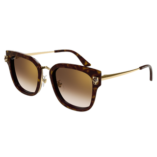 
  
    HAVANA | BROWN
  
