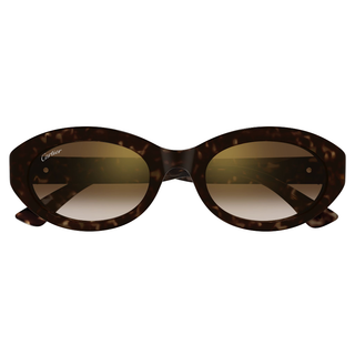 
  
    HAVANA | BROWN
  

