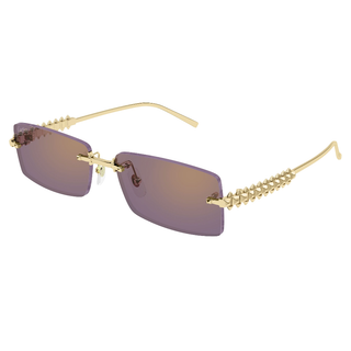 
  
    GOLD | VIOLET
  
