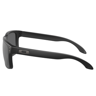 
  
    MATTE BLACK | PRIZM BLACK POLARIZED
  
