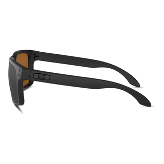 
  
    MATTE BLACK | PRIZM TUNGSTEN POLARIZED
  
