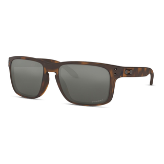 
  
    MATTE BROWN TORTOISE | PRIZM BLACK
  
