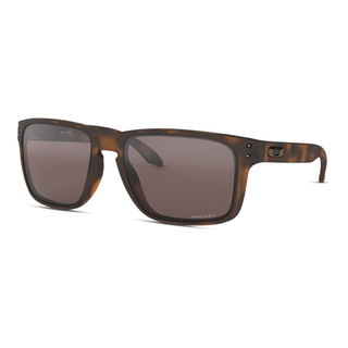 
  
    MATTE BROWN TORTOISE | PRIZM BLACK
  

