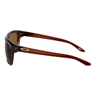 
  
    POLISHED ROOTBEER | PRIZM BRONZE
  
