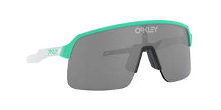 
  
    Matte Celeste | Prizm Black
  
