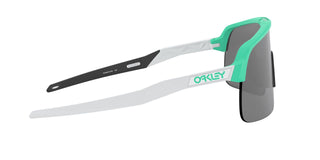 
  
    Matte Celeste | Prizm Black
  
