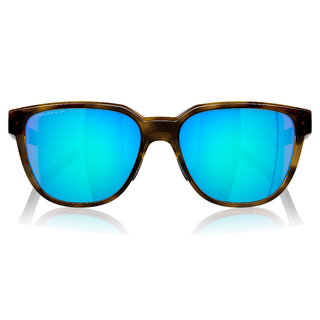 
  
    BROWN TORTOISE | PRIZM SAPPHIRE POLAR
  
