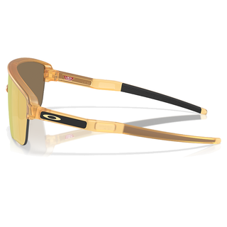 
  
    MATTE TRANS LIGHT CURRY | PRIZM
  
