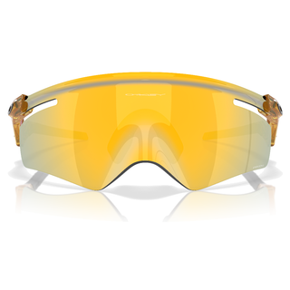 
  
    TRANS LT CURRY | PRIZM
  
