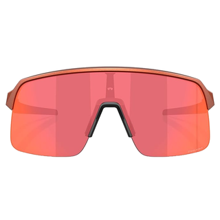 
  
    FIRE ORANGE | PRIZM TRAIL TORCH
  
