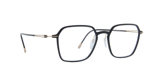 
  
    BLACK SHINY GOLD | DEMO LENS
  
