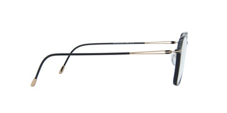 
  
    BLACK SHINY GOLD | DEMO LENS
  
