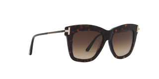 
  
    Dark Havana | Gradient Brown
  
