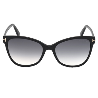 
  
    SHINY BLACK | GRADIENT SMOKE
  
