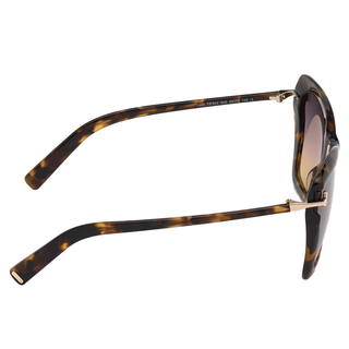 
  
    COLOURED HAVANA | GRADIENT SMOKE
  
