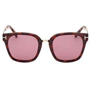 
  
    DARK HAVANA | VIOLET
  
