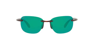 
  
    10 Shiny Tortoise | Green Mirror 580P
  
